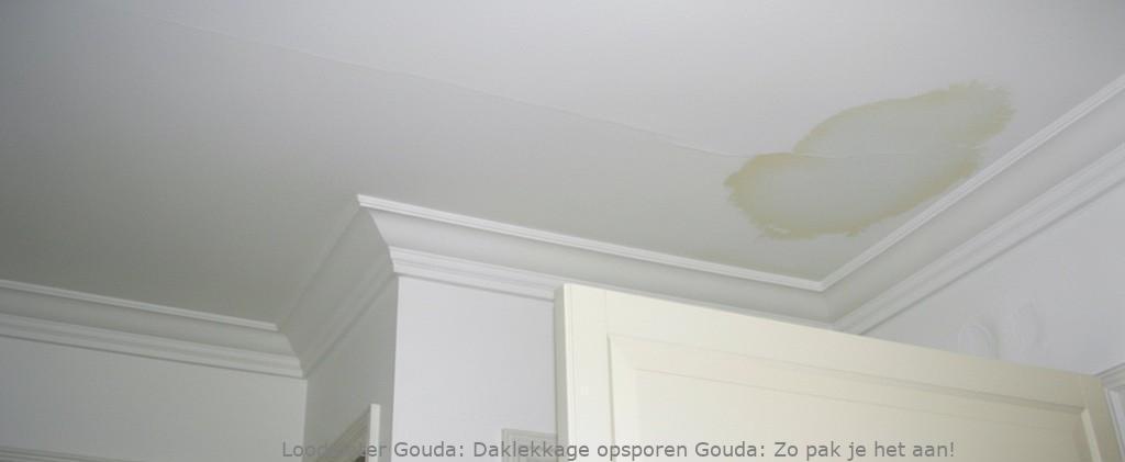 Daklekkage Opsporen Gouda