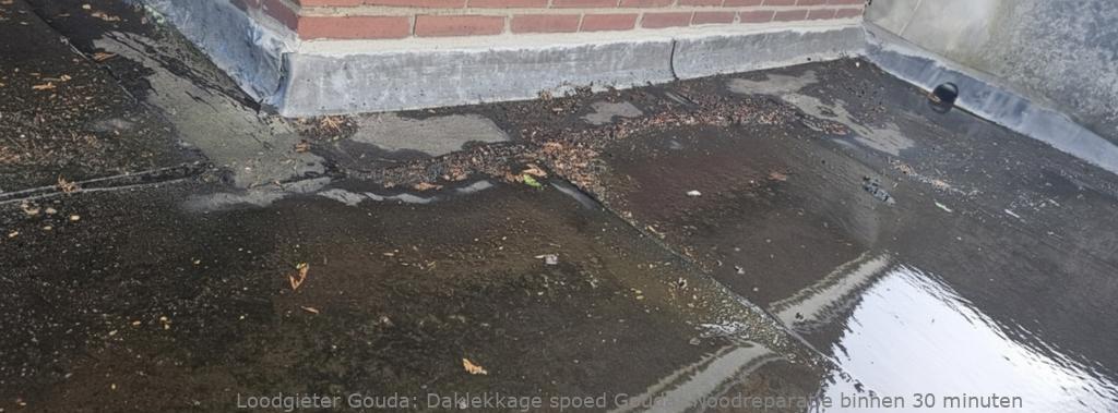 Daklekkage Spoed Gouda