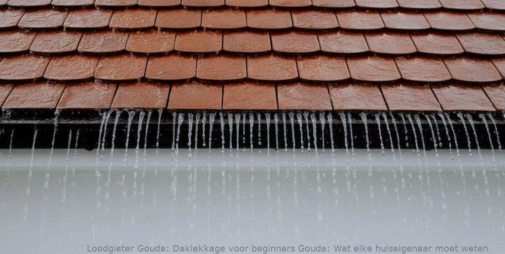 Daklekkage Voor Beginners Gouda