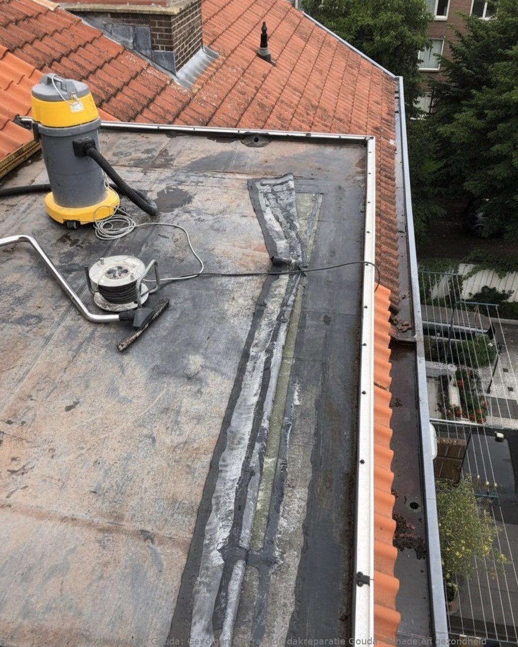 Gevolgen Vertraagde Dakreparatie Gouda