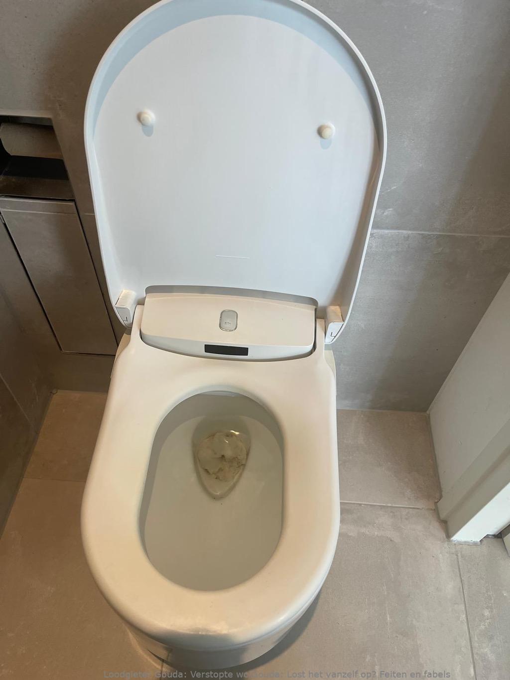 Herken Verstopte Wc Gouda