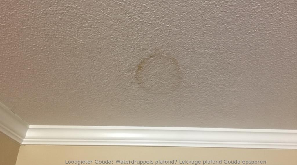 Lekkage Plafond Gouda