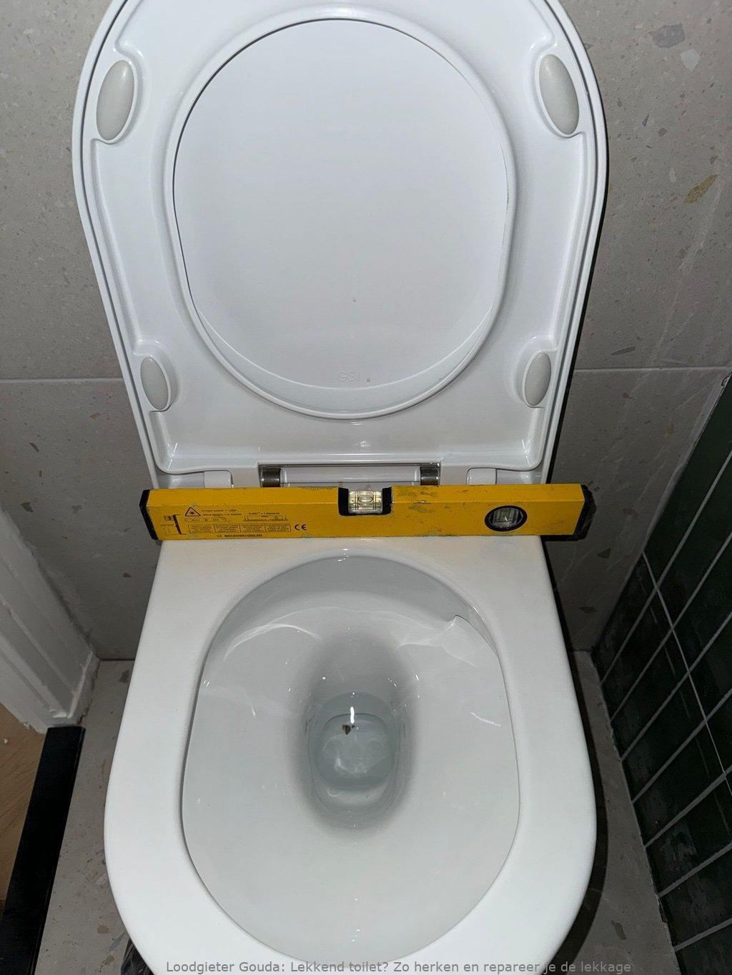 Lekkage Toilet Gouda