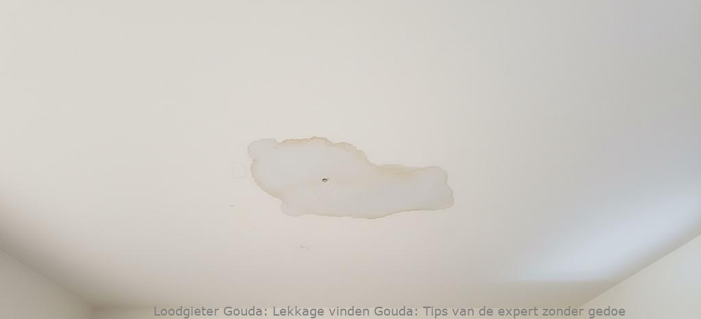 Lekkage Vinden Gouda