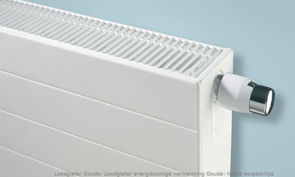 Loodgieter Energiezuinige Verwarming Gouda