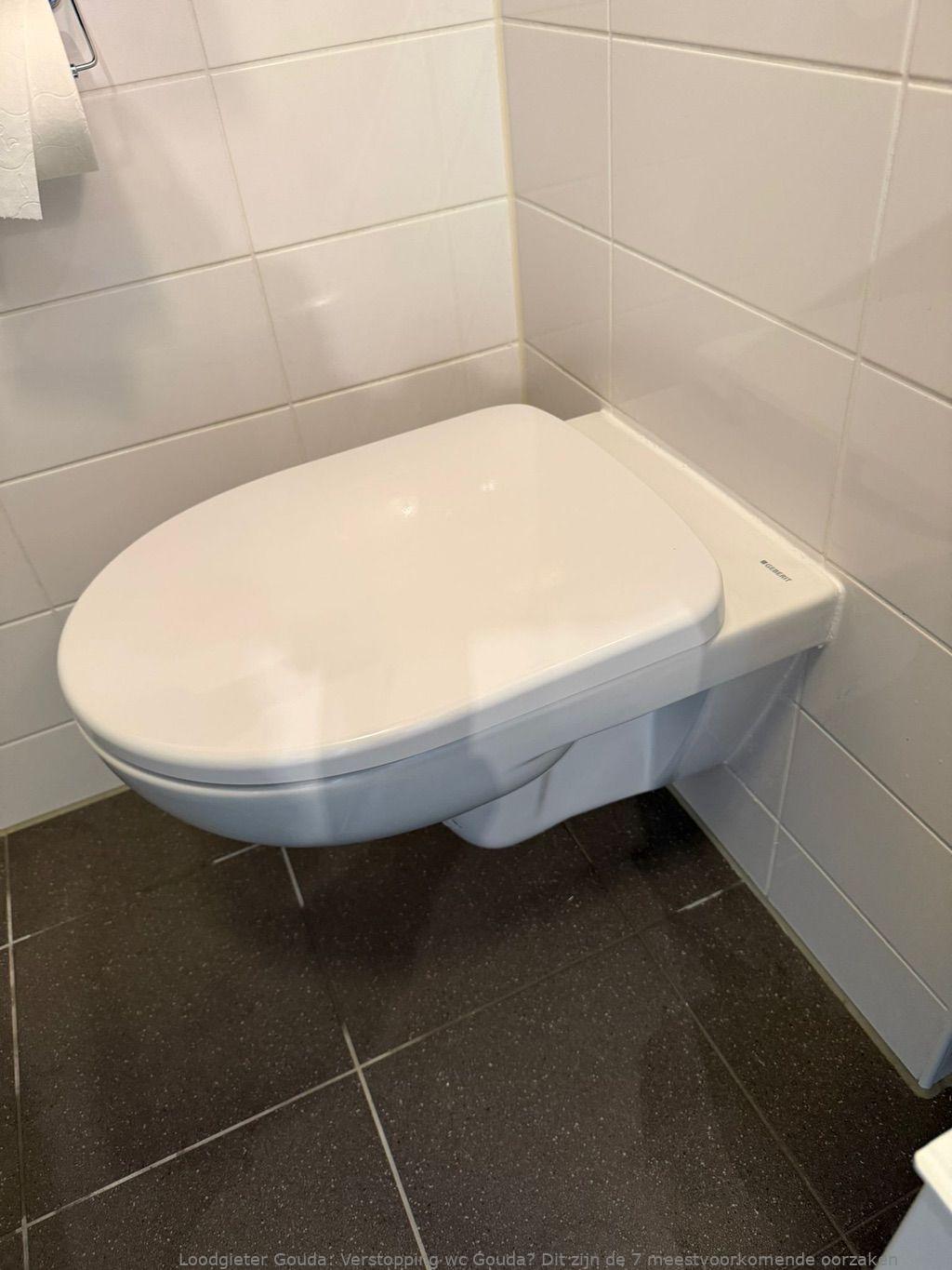 Tips Wc Verstopping Voorkomen Gouda