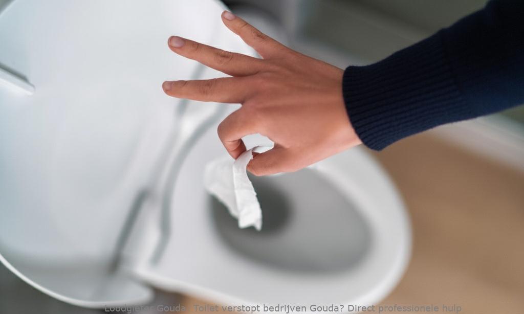 Toilet Verstopt Bedrijven Gouda