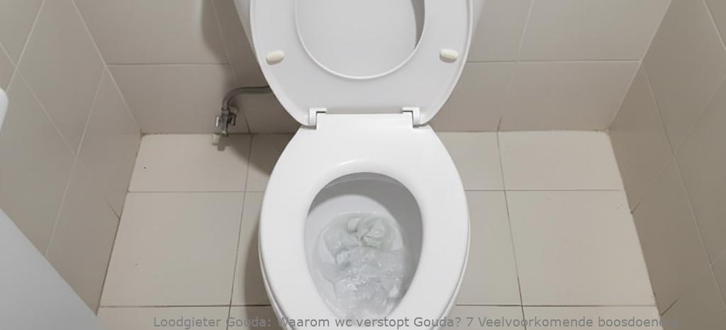 Waarom Wc Verstopt Gouda