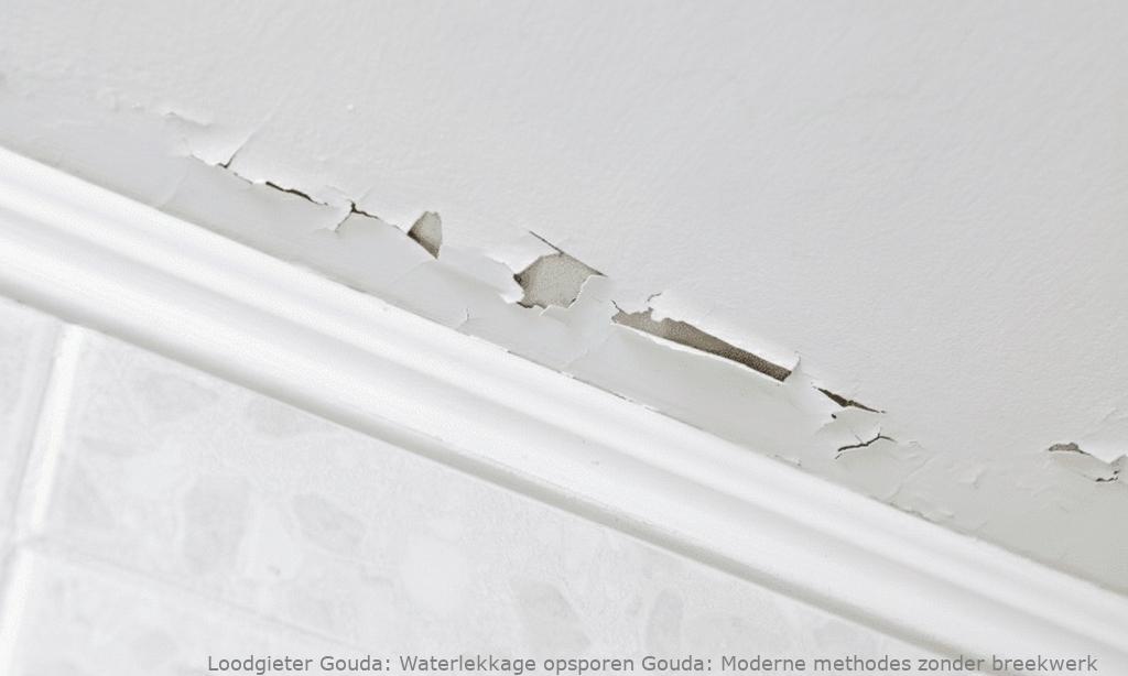 Waterlekkage Opsporen Gouda