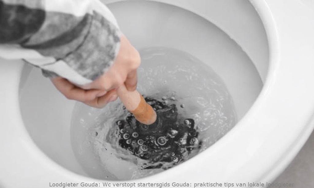 Wc Verstopt Startersgids Gouda